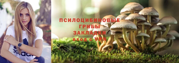 MDMA Premium VHQ Дмитровск