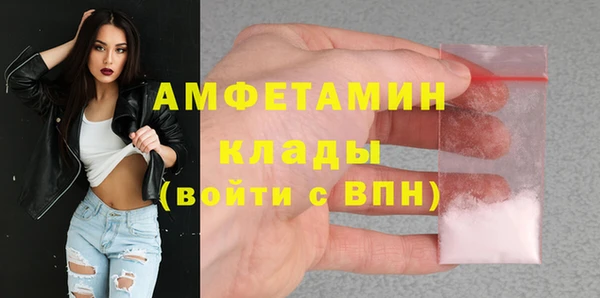 гашик Дмитриев