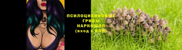 mdpv Дмитров