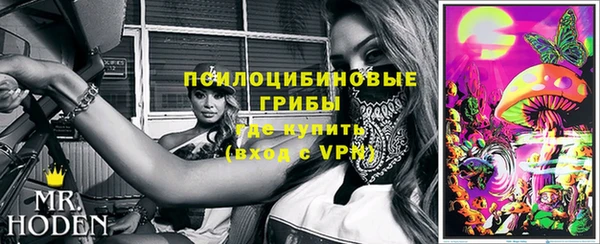 mdpv Дмитров