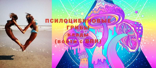 mdpv Дмитров
