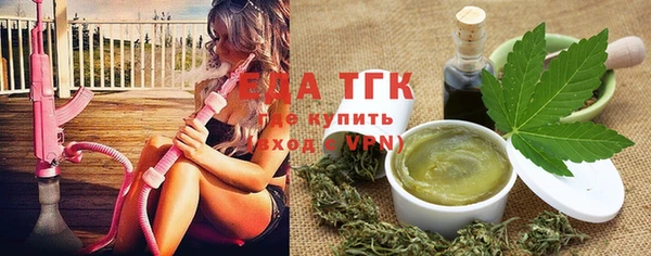 гашик Дмитриев