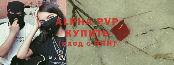 гашик Дмитриев