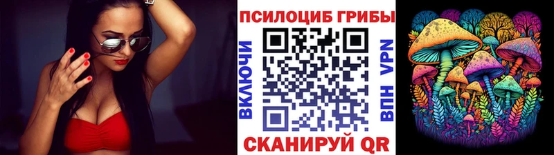 Псилоцибиновые грибы Cubensis  Купить где  Киржач 
